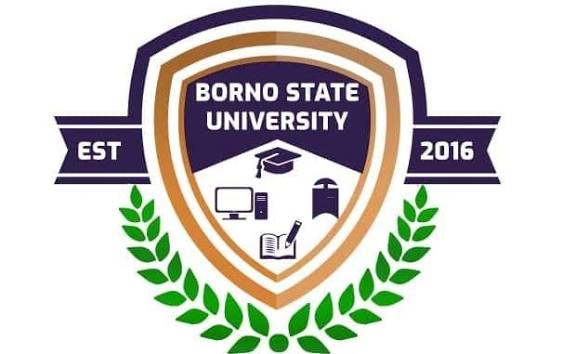 BOSU Admission List 2025/2026 | How to Check Borno State University Admission Status